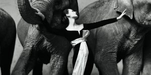 dovima with elephants, evening dress by dior cirque d'hiver paris august 1955, photo by richard avedon